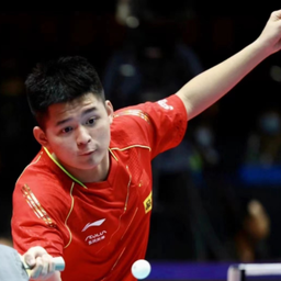 届业余羽毛 届业余羽毛