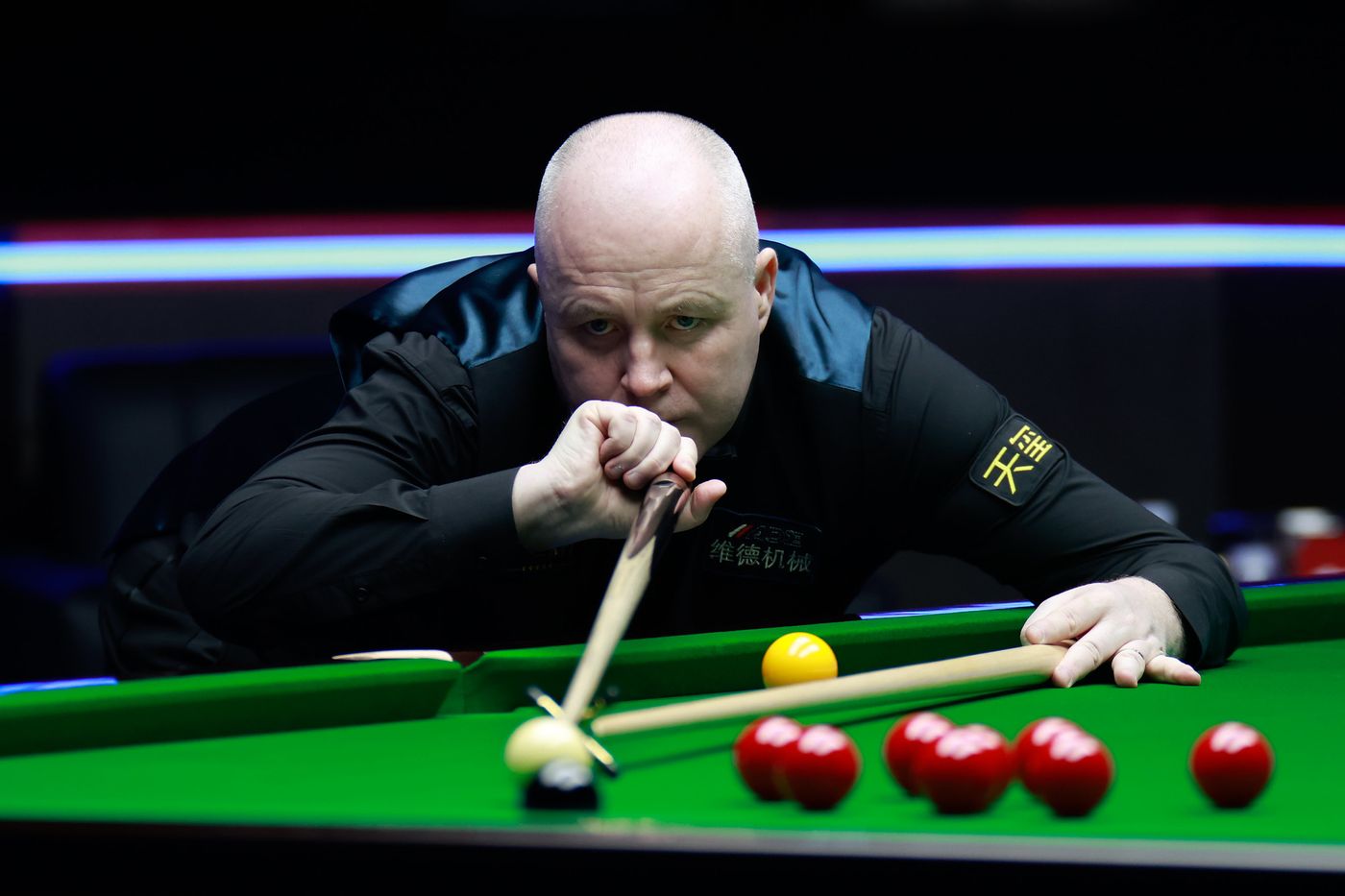 持坚果的概 持坚果的概