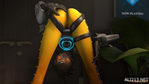 号与赛事数 号与赛事数